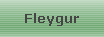 Fleygur