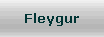 Fleygur